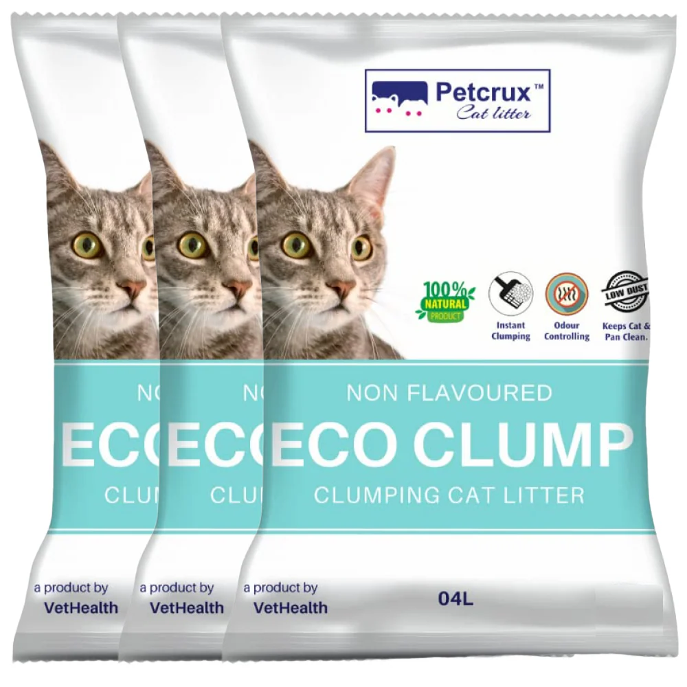 Thumbnail 15