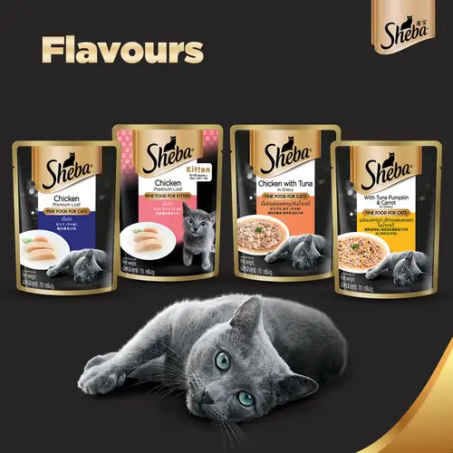Thumbnail 13